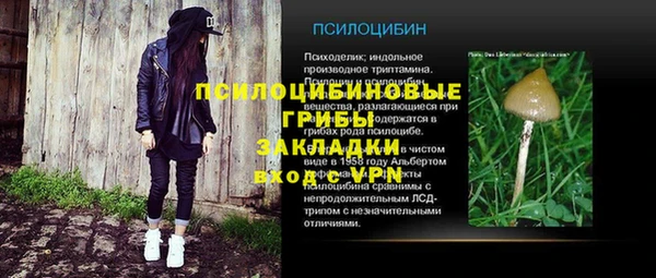 молекула духа Заводоуковск