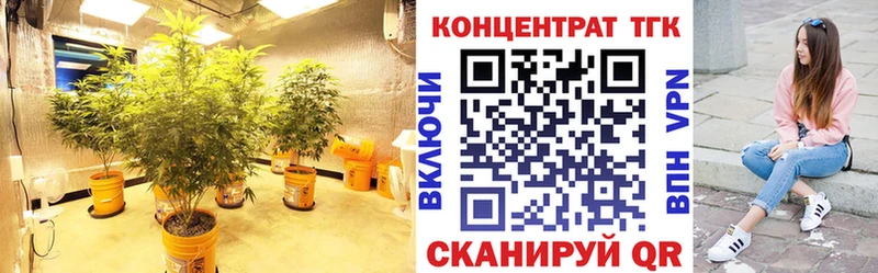 блэк спрут зеркало  Курчатов  ТГК вейп 